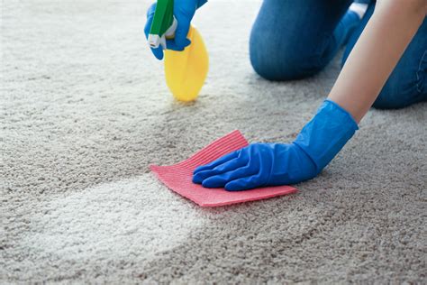 Masz szansę zatroszczyć się o najwyższą jakość dywanów oraz tapicerki w Twoim domu już dziś!